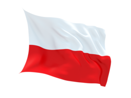 Poland Virtual Phone Number