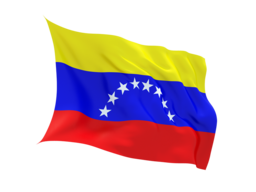 Venezuela Virtual Phone Number